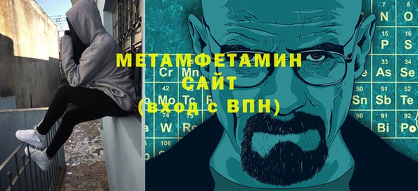 прущие грибы Гусев