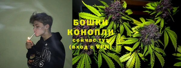 бутират Дмитриев