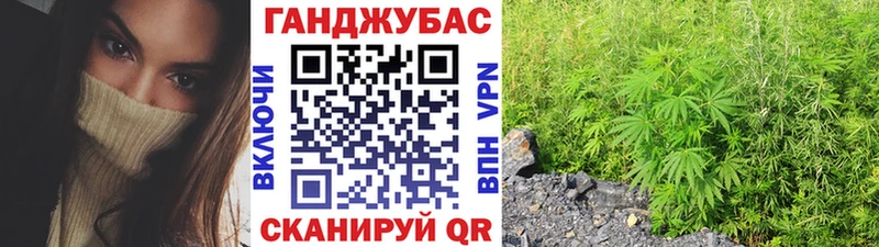 Канабис сатива  где можно купить   Чебаркуль 